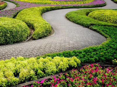 AdobeStock_254218284-copy